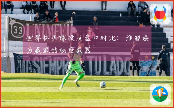 世界杯买球投注盘口对比：谁能成为赢家的秘密武器