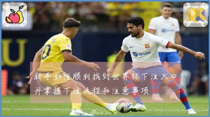 新手如何顺利找到世界杯下注入口并掌握下注流程和注意事项