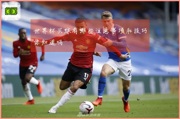 世界杯买球有哪些注意事项和技巧你知道吗