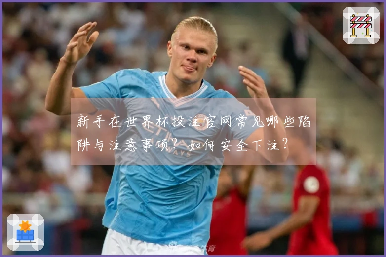 新手在世界杯投注官网常见哪些陷阱与注意事项？如何安全下注？