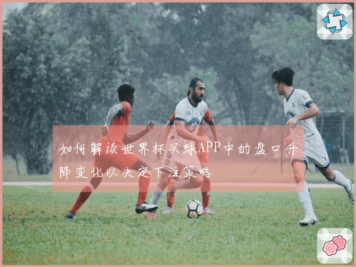 如何解读世界杯买球APP中的盘口升降变化以决定下注策略