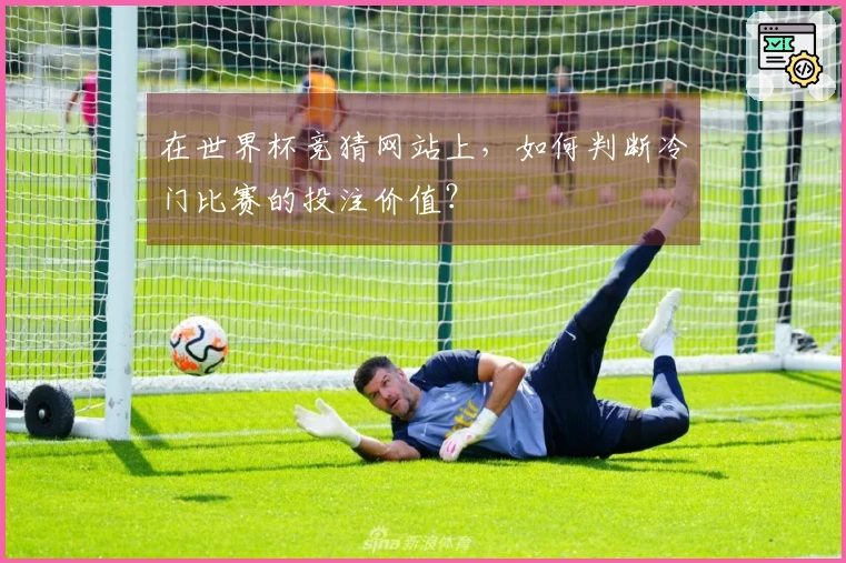 在世界杯竞猜网站上，如何判断冷门比赛的投注价值？