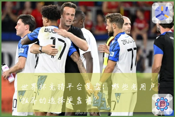 世界杯竞猜平台复盘:哪些老用户推荐的选择更靠谱?