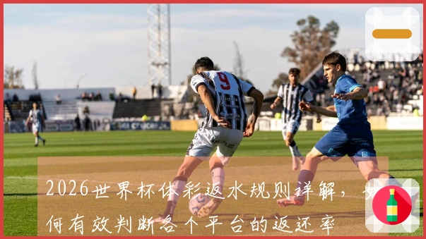 2026世界杯体彩返水规则详解，如何有效判断各个平台的返还率