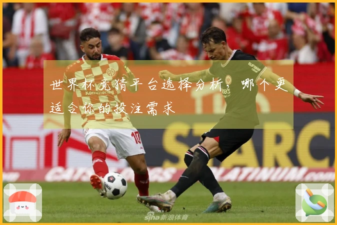 世界杯竞猜平台选择分析，哪个更适合你的投注需求