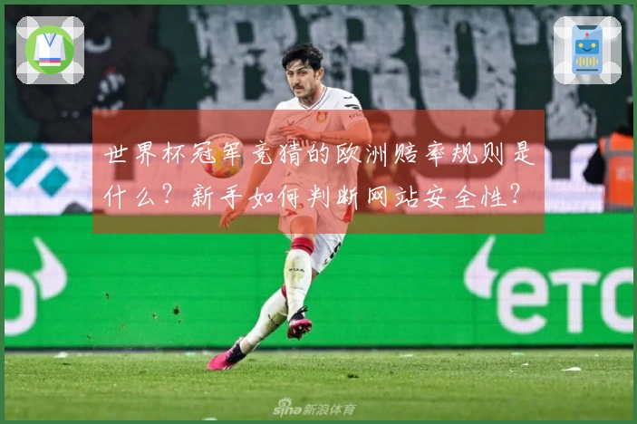 世界杯冠军竞猜的欧洲赔率规则是什么?新手如何判断网站安全性?