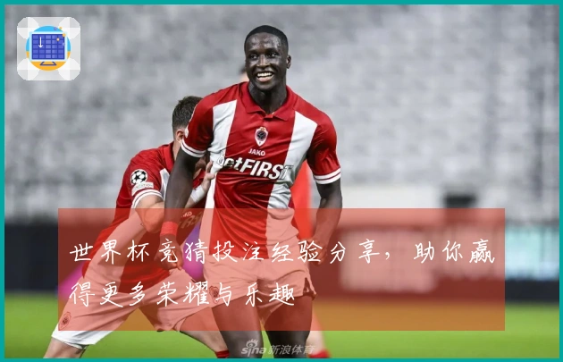 世界杯竞猜投注经验分享，助你赢得更多荣耀与乐趣