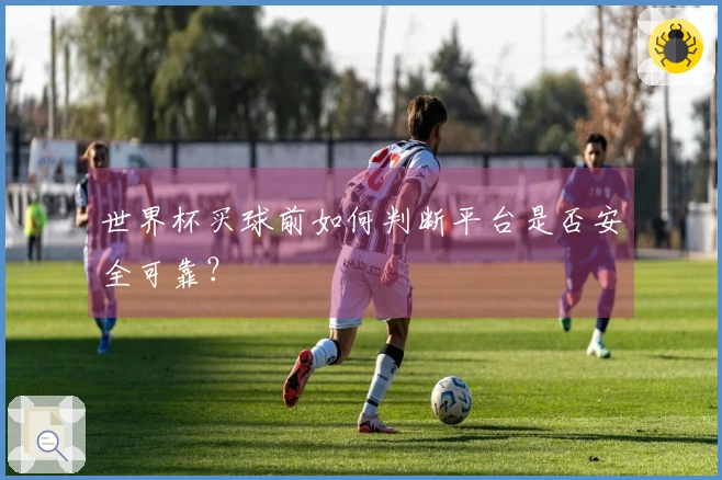 世界杯买球前如何判断平台是否安全可靠？