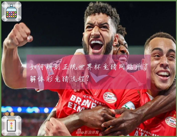 如何辨别正规世界杯竞猜网站并了解体彩竞猜流程？