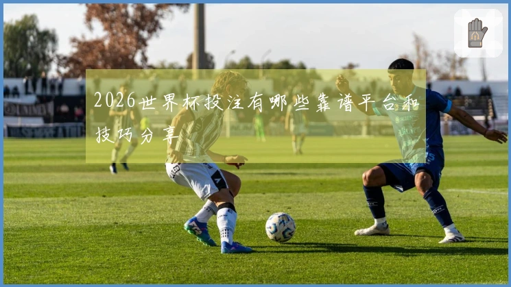 2026世界杯投注有哪些靠谱平台和技巧分享