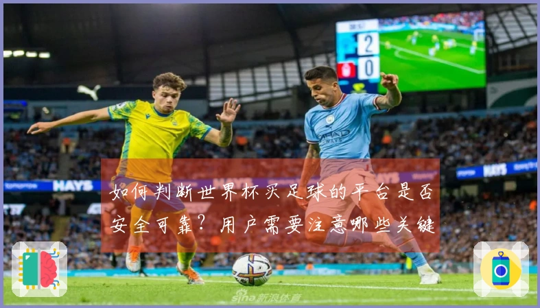 如何判断世界杯买足球的平台是否安全可靠？用户需要注意哪些关键点？
