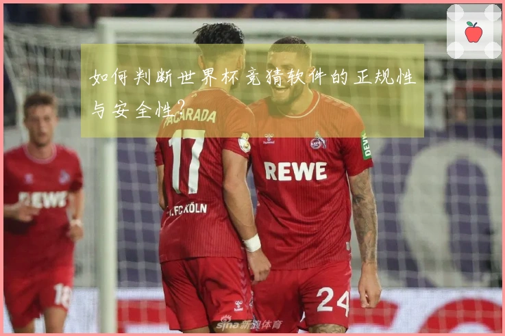 如何判断世界杯竞猜软件的正规性与安全性？