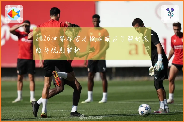 2026世界杯官方投注前应了解的风险与规则解析