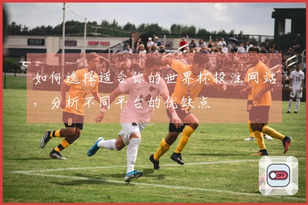 如何选择适合你的世界杯投注网站，分析不同平台的优缺点