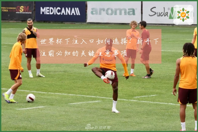 世界杯下注入口如何选择？新手下注前必知的关键注意事项