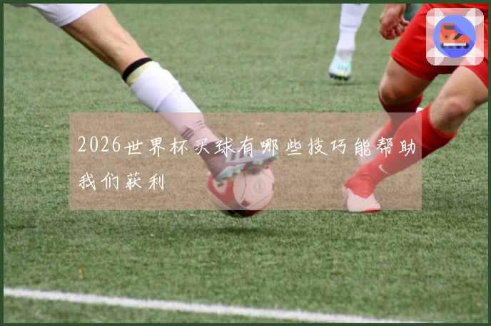 2026世界杯买球有哪些技巧能帮助我们获利