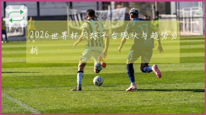 2026世界杯买球平台现状与趋势分析