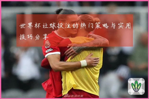世界杯让球投注的热门策略与实用技巧分享