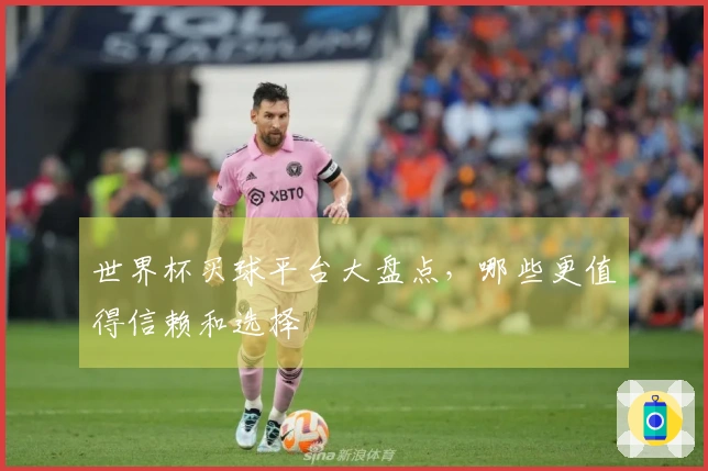 世界杯买球平台大盘点，哪些更值得信赖和选择