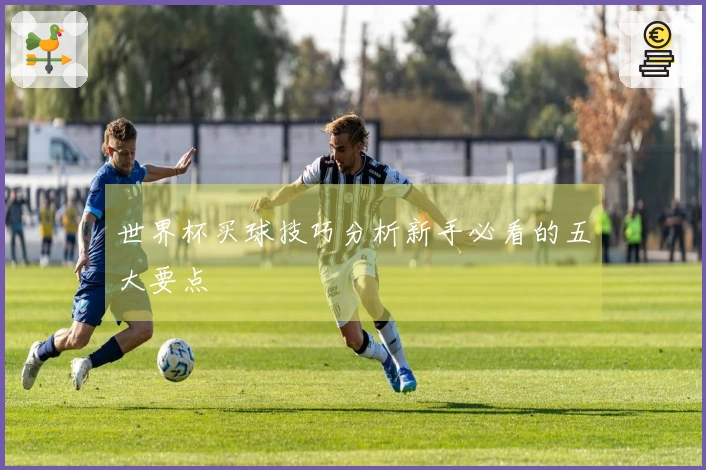 世界杯买球技巧分析新手必看的五大要点