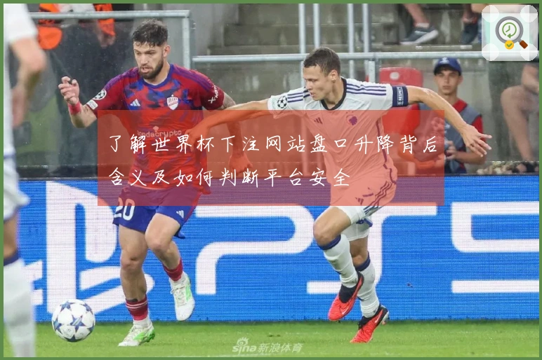 了解世界杯下注网站盘口升降背后含义及如何判断平台安全