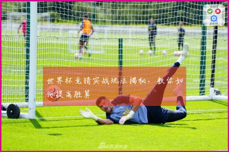 世界杯竞猜实战玩法揭秘，教你如何提高胜算