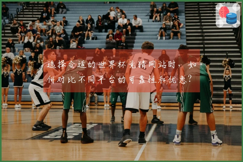 选择合适的世界杯竞猜网站时,如何对比不同平台的可靠性和优惠?