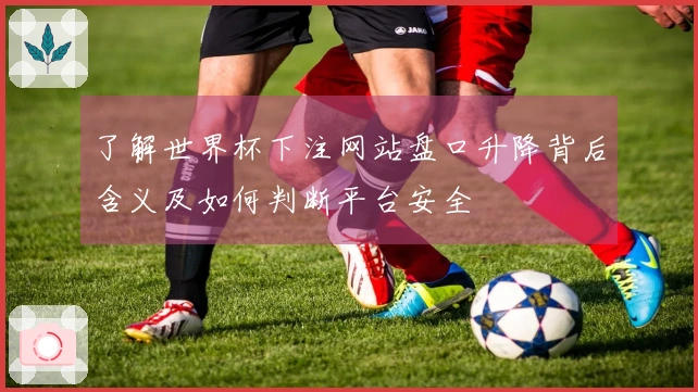 了解世界杯下注网站盘口升降背后含义及如何判断平台安全