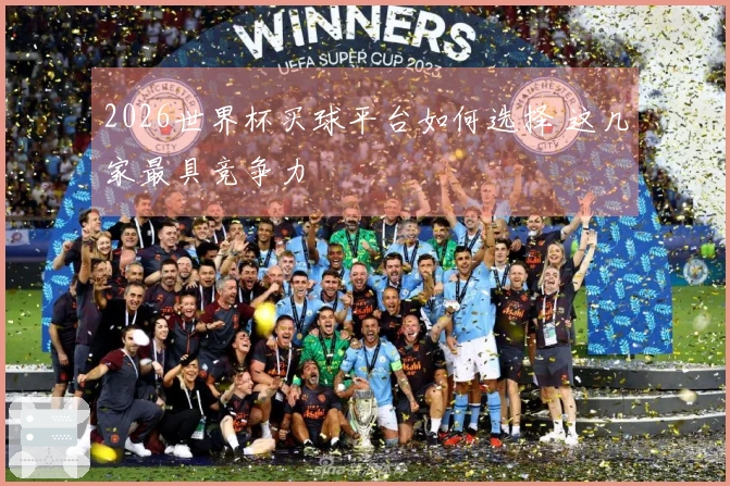 2026世界杯买球平台如何选择 这几家最具竞争力