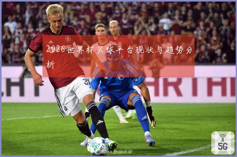 2026世界杯买球平台现状与趋势分析