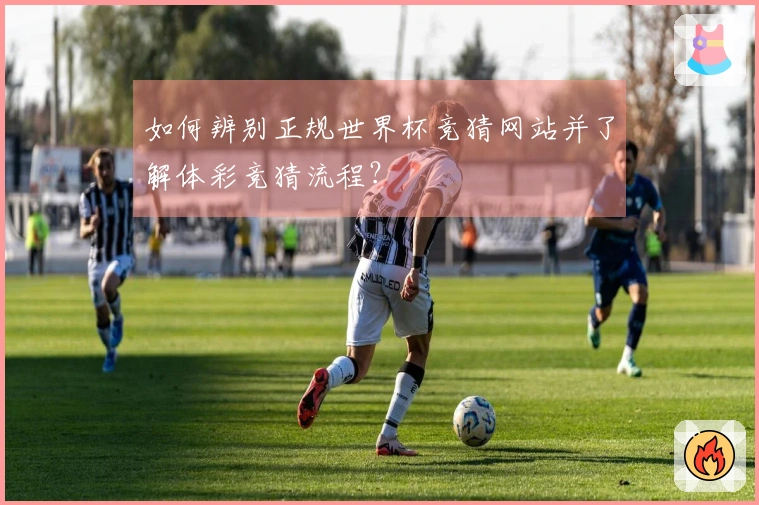 如何辨别正规世界杯竞猜网站并了解体彩竞猜流程？