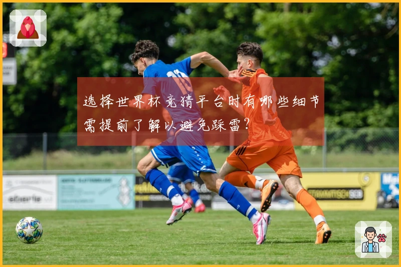 选择世界杯竞猜平台时有哪些细节需提前了解以避免踩雷？
