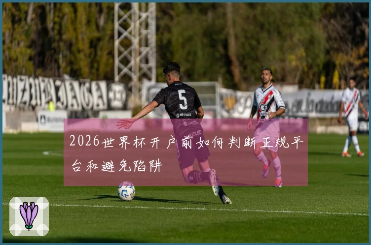 2026世界杯开户前如何判断正规平台和避免陷阱