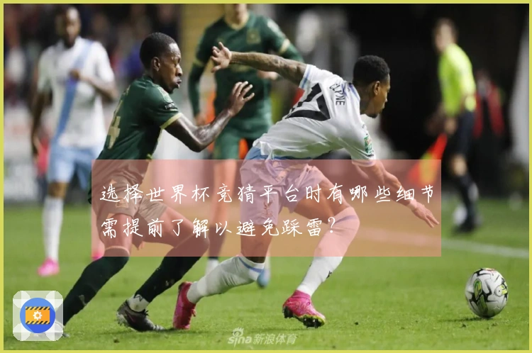 选择世界杯竞猜平台时有哪些细节需提前了解以避免踩雷?