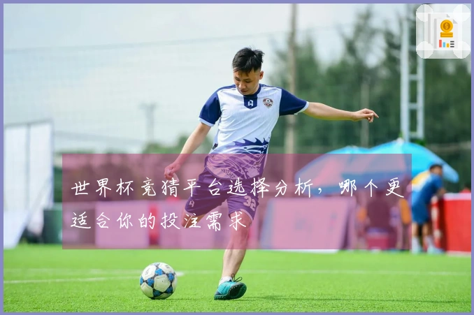 世界杯竞猜平台选择分析，哪个更适合你的投注需求