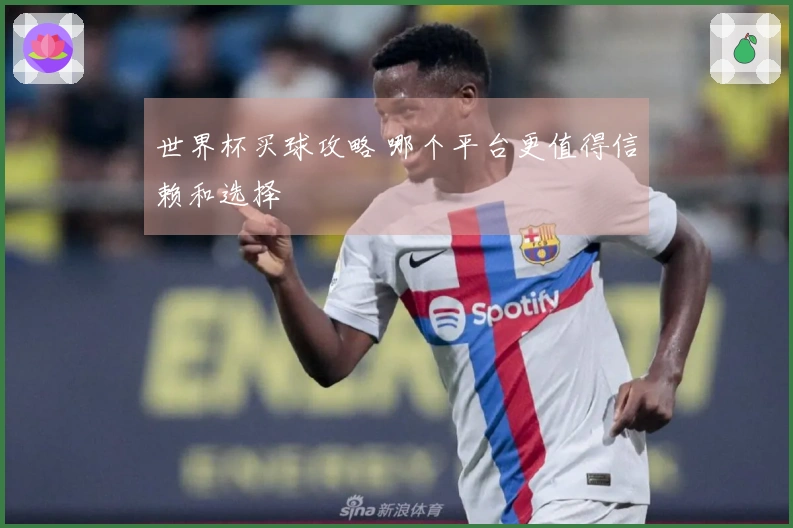 世界杯买球攻略 哪个平台更值得信赖和选择