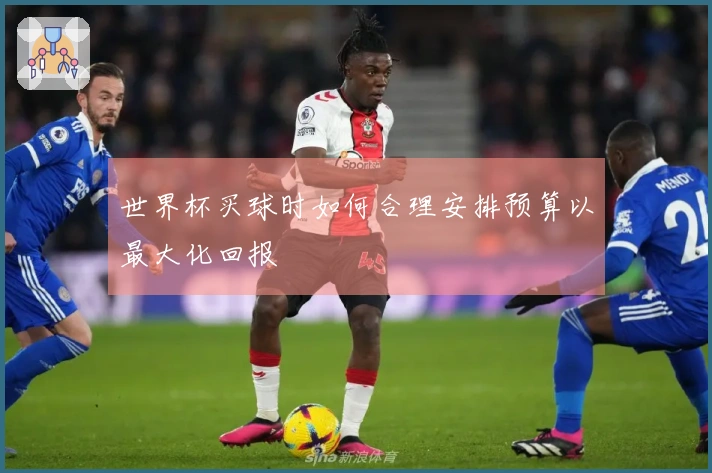 世界杯买球时如何合理安排预算以最大化回报