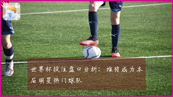 世界杯投注盘口分析：谁将成为本届明星热门球队