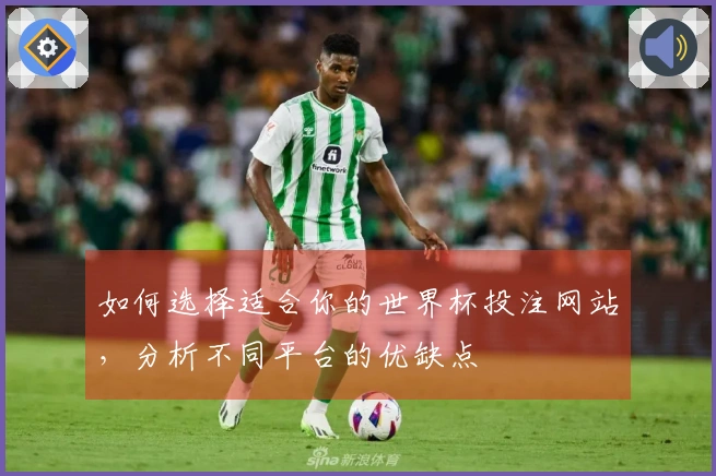 如何选择适合你的世界杯投注网站,分析不同平台的优缺点