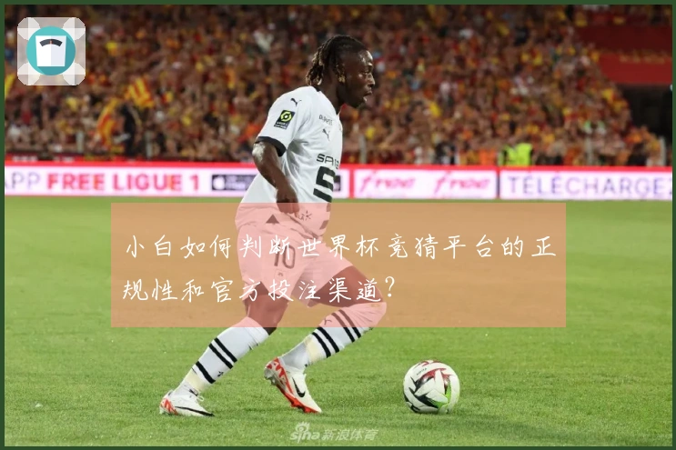 小白如何判断世界杯竞猜平台的正规性和官方投注渠道？