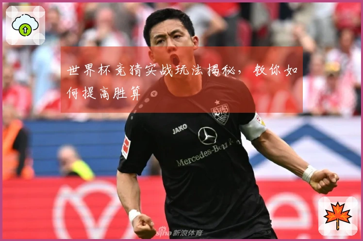 世界杯竞猜实战玩法揭秘，教你如何提高胜算